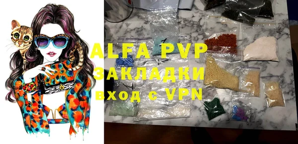 apvp Алзамай