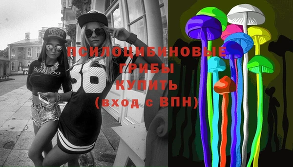 apvp Алзамай