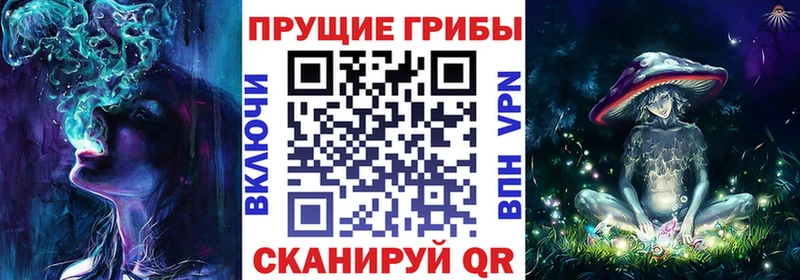 цены наркотик  Асино  гидра сайт  Галлюциногенные грибы Cubensis 